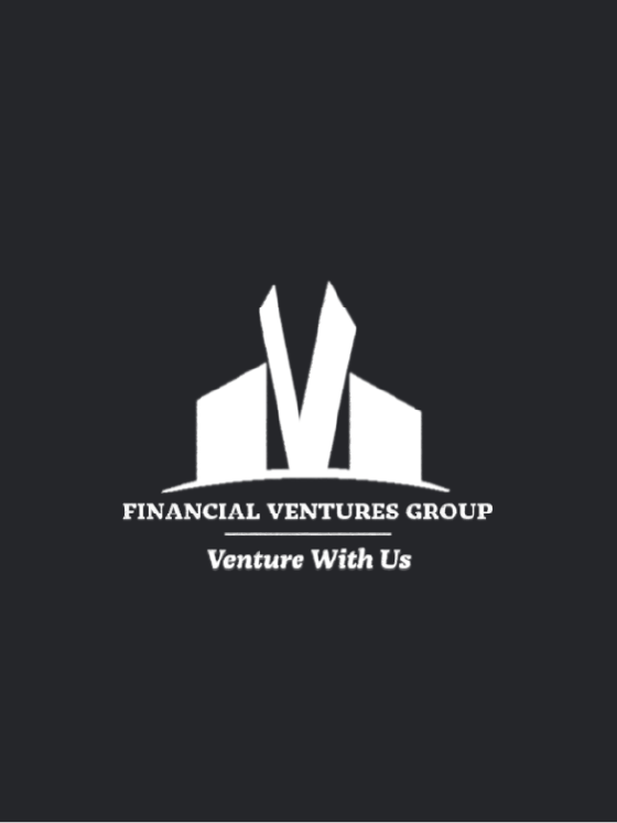 Financial Ventures Group